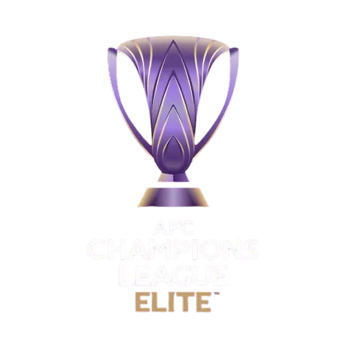 亚冠精英赛 神户胜利船vs山东泰山20241002