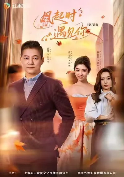 风起时遇见你