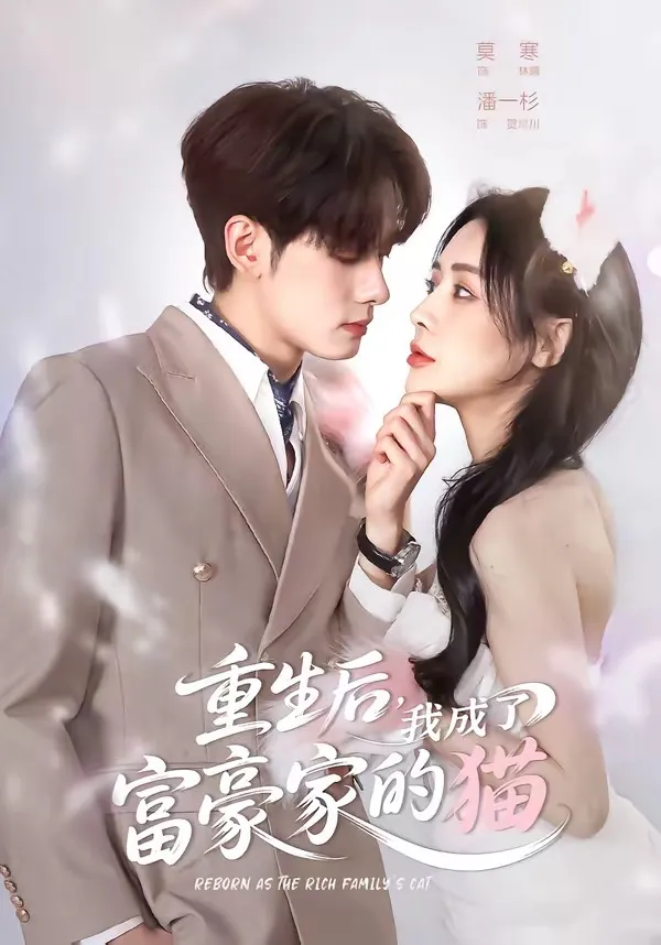 重生后，我成了富豪家的猫