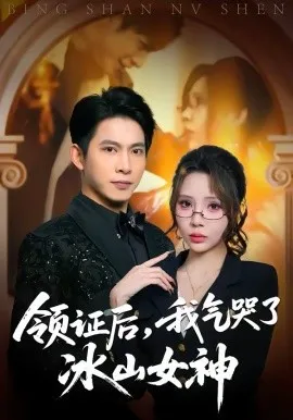 领证后，我气哭了冰山女神