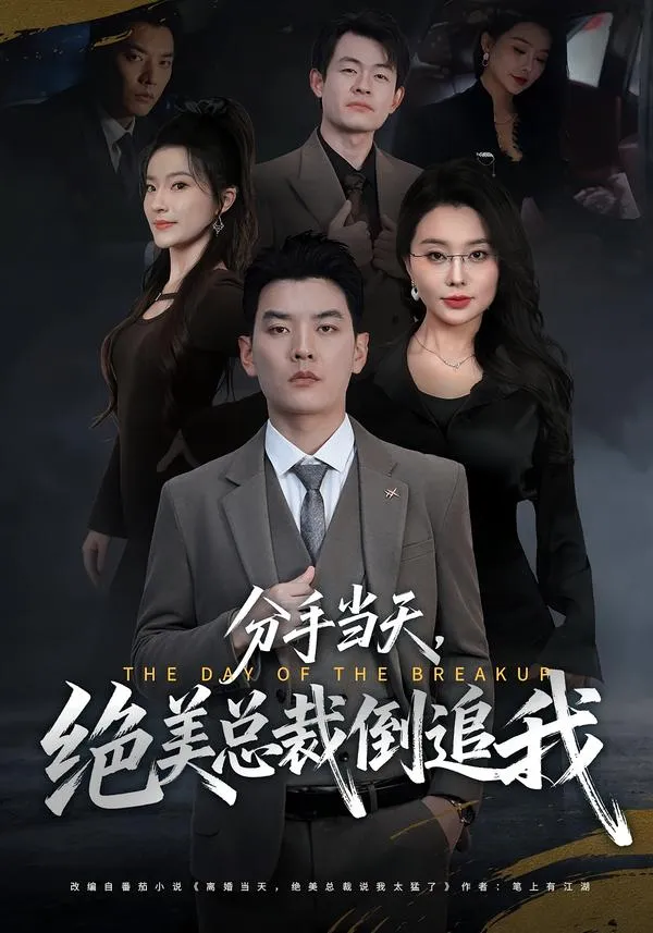 分手当天，绝美总裁倒追我