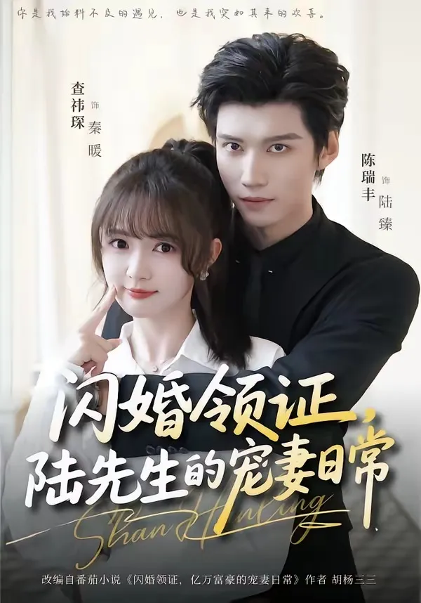 闪婚领证，陆先生的宠妻日常