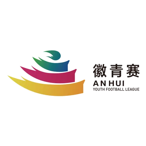 安徽省青少年足球联赛 马鞍山VS亳州20260906