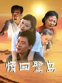 情回鹭岛