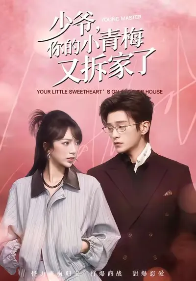 少爷，你的小青梅又拆家了